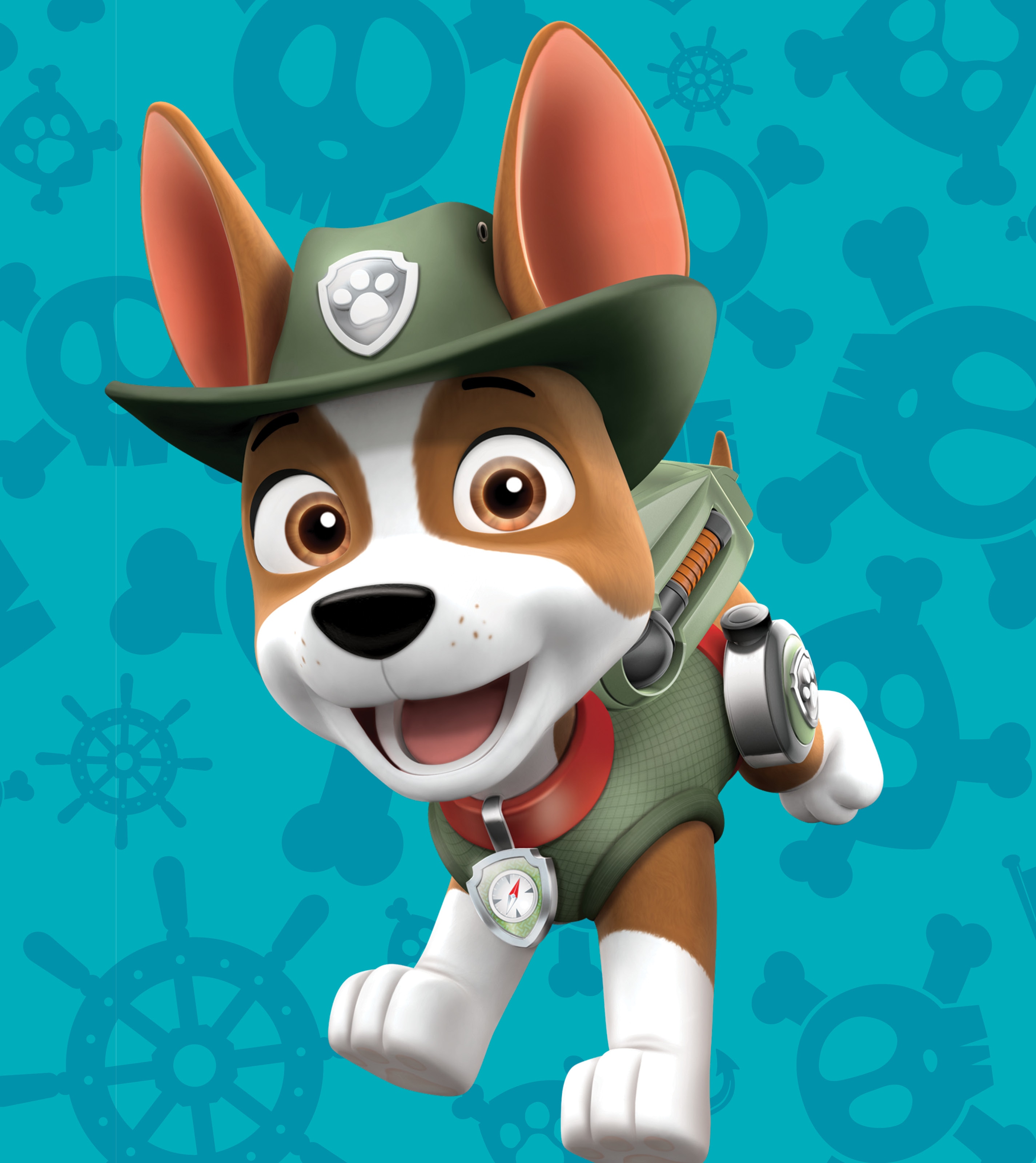 PAW Patrol Live! Tracker