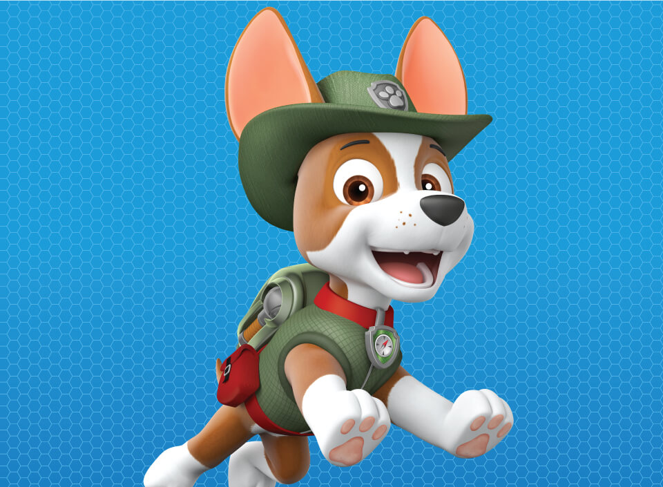 Paw Patrol Characters - Biography Tracker - Desktop image