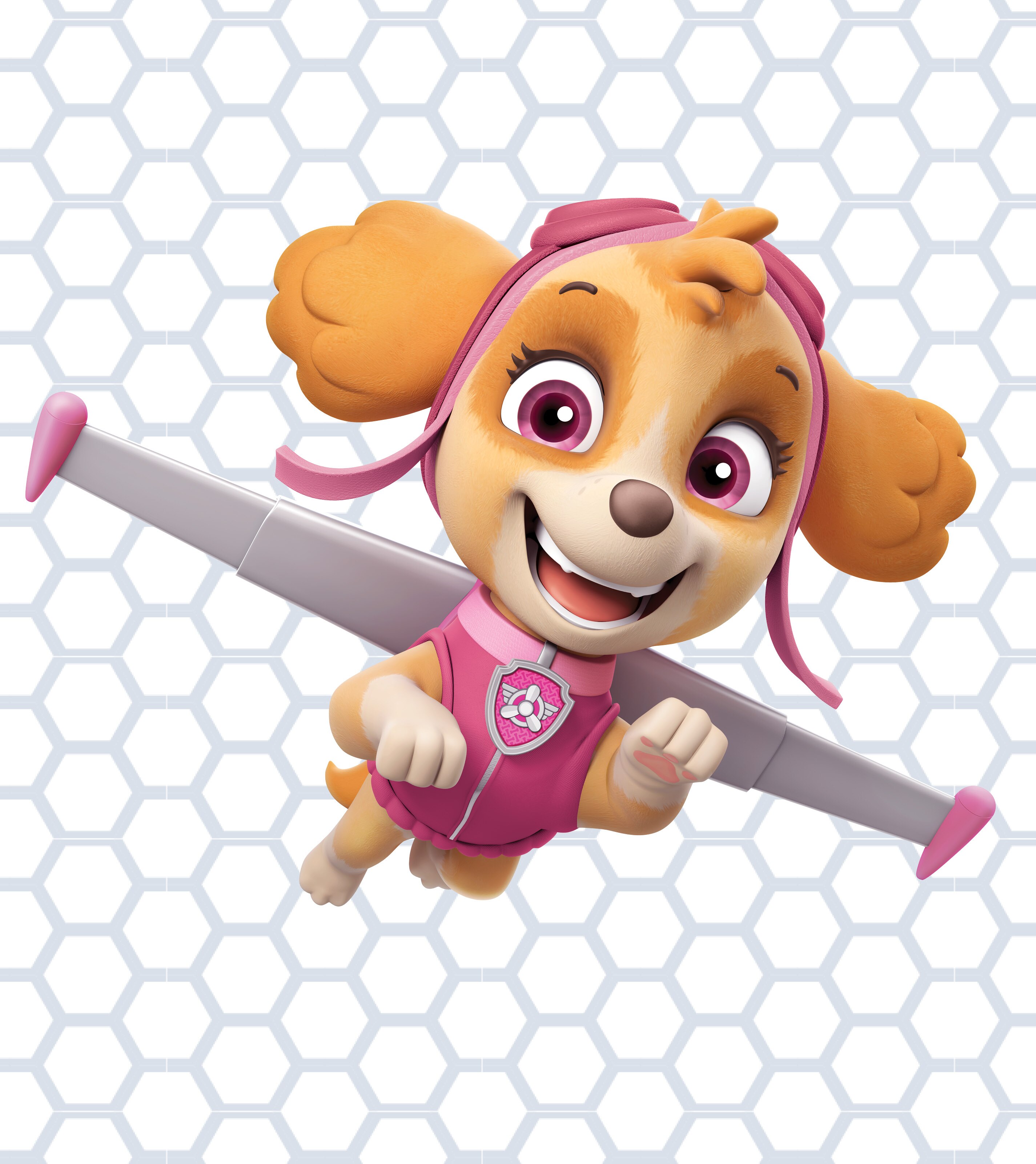 PAW Patrol Live! Skye